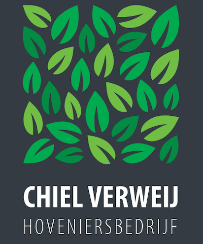 Chiel Verweij